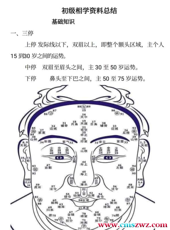 详睿相法初级相学资料总结–pdf文件95页插图1