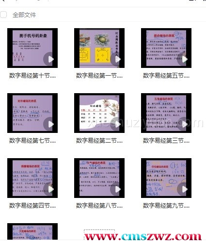 24050124-5 数字易经10集 张灵然 决胜千里易学班插图1