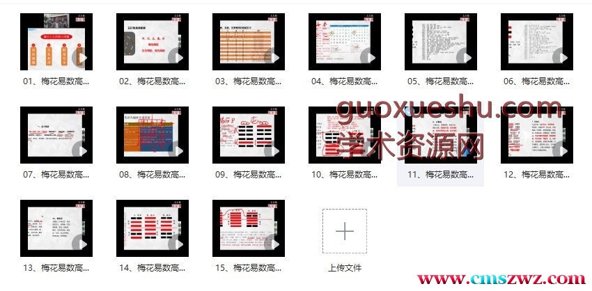 刘全统《梅花易数高阶占解术》15集插图