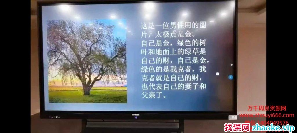 《庞枫栖相学全息读象精品班》8集视频，每集时长4小时左右