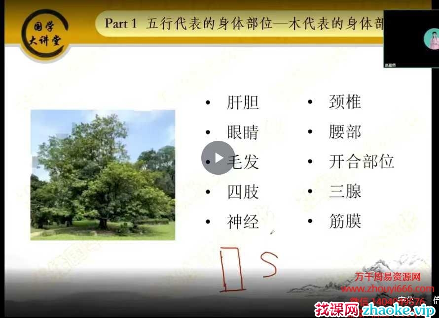 赵晨然老师《微信头像预测学》教学课程24集视频