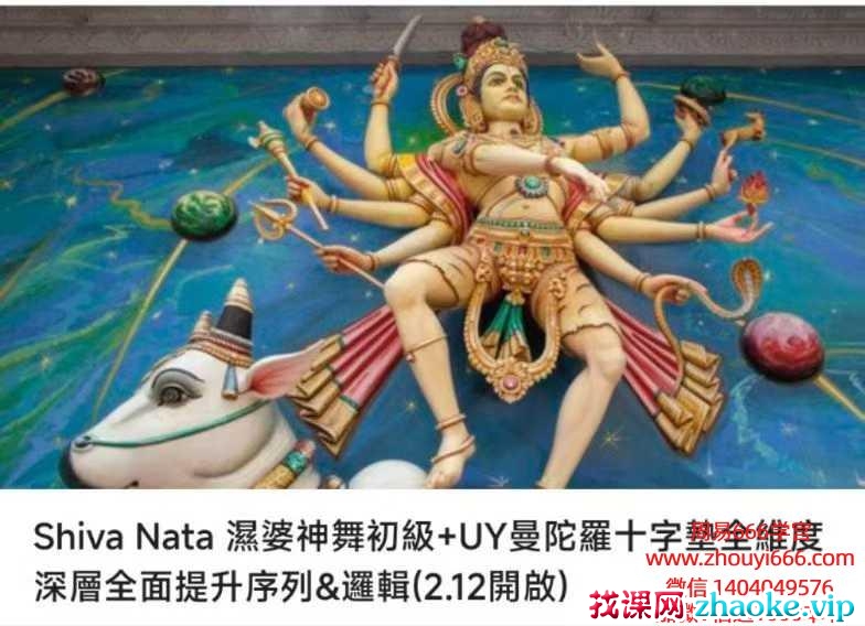 Shiva Nata 湿婆神舞初級+UY曼陀羅十字墊全維度深層全面提升序列&邏輯16集视频课