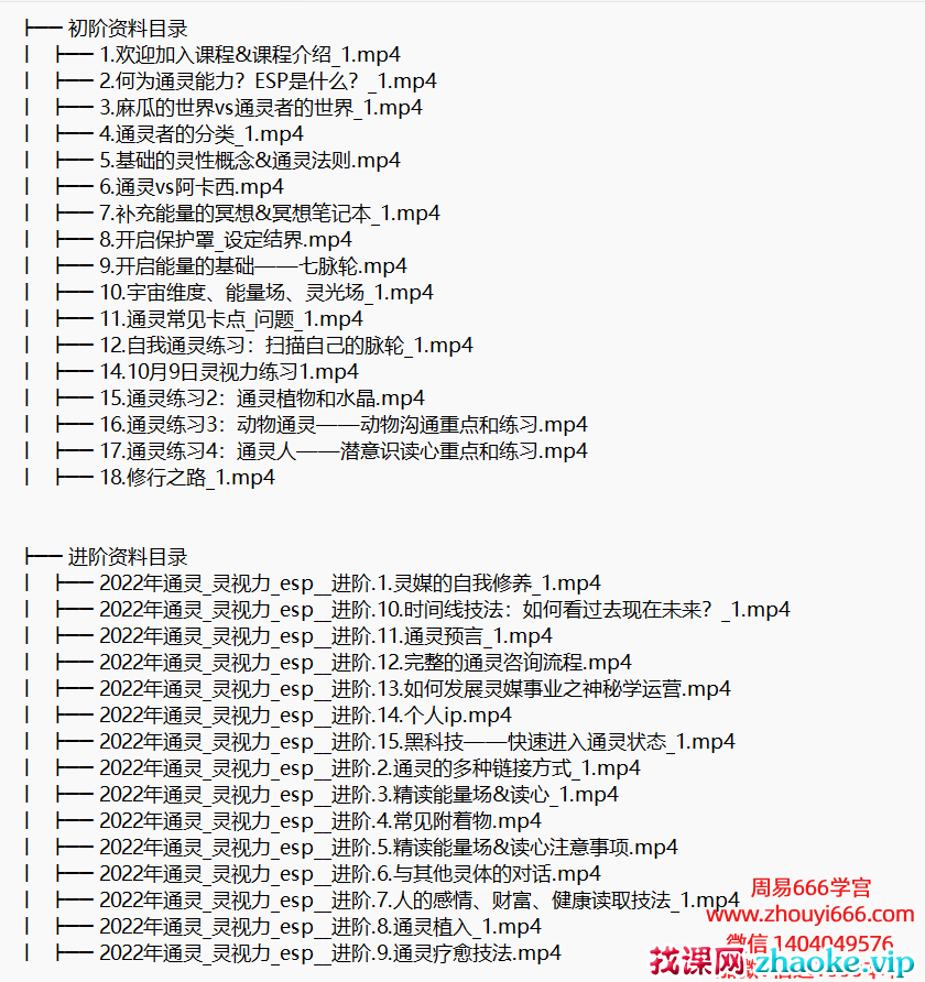 【合集】Iris通灵/灵视力/初级+进阶课程视频合集2套