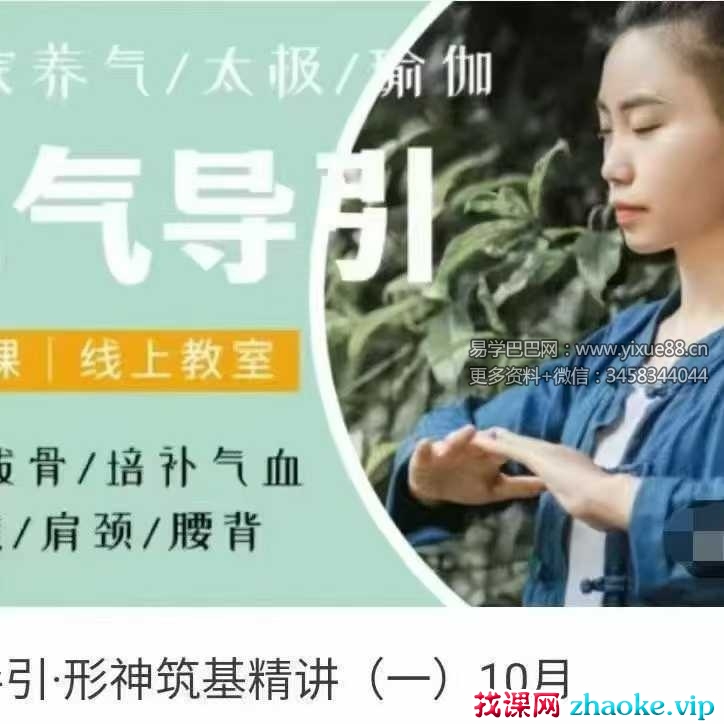 施莹 元气导引 形神筑基精讲24集视频