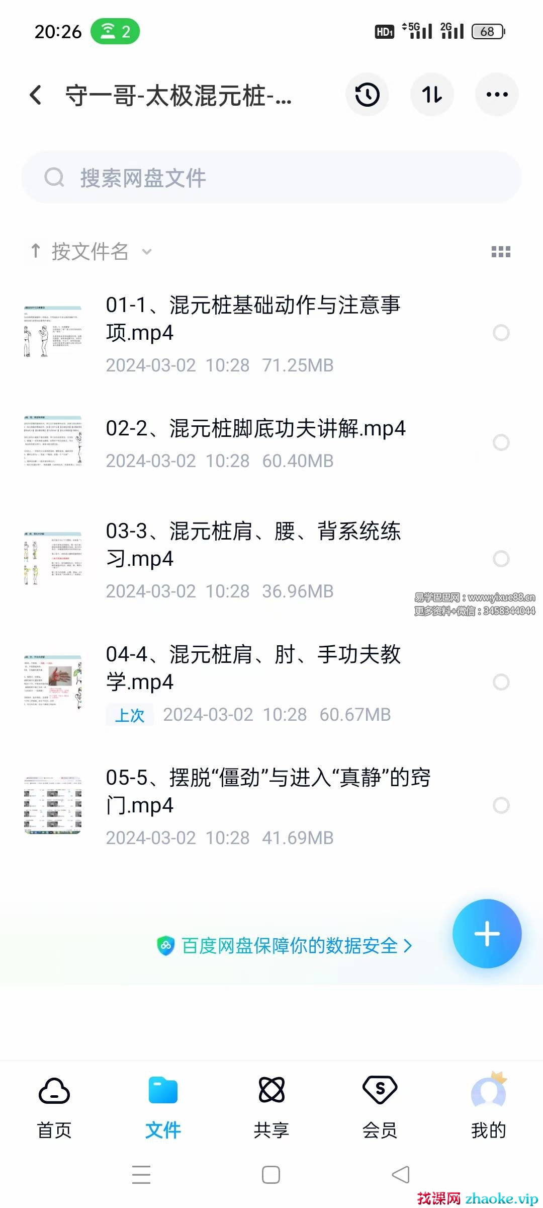 守一哥 太极混元桩 内劲教学5集