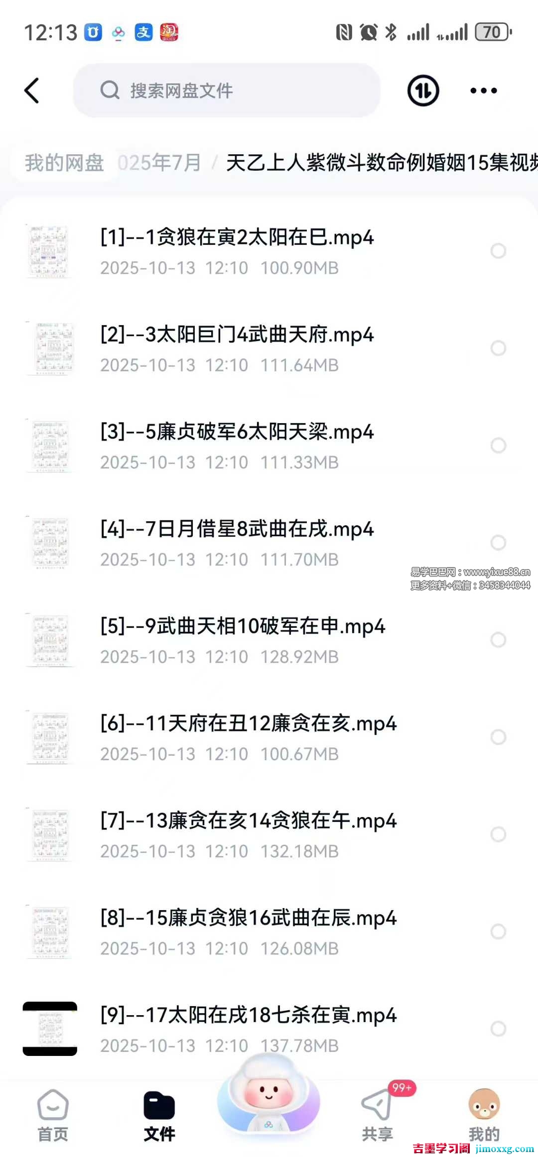 天乙上人紫微斗数命例婚姻15集视频