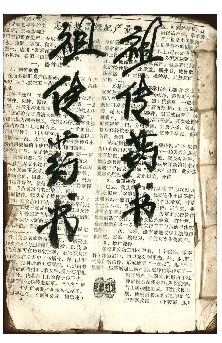 道医《祖传药书》