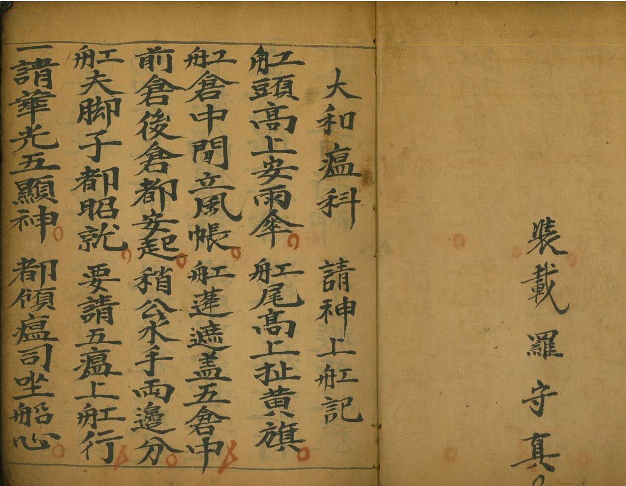 《大和瘟科》插图1