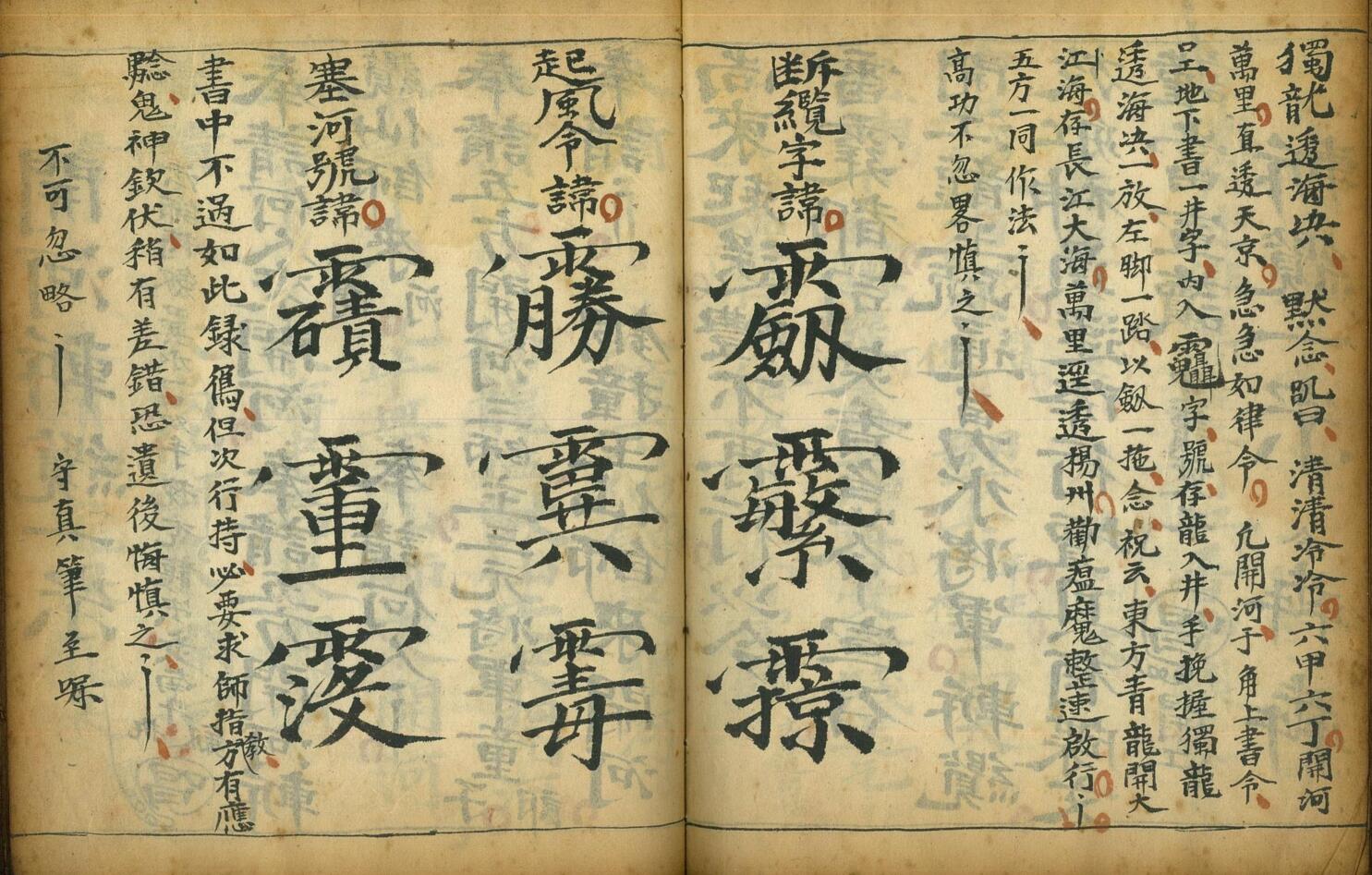 《大和瘟科》插图7