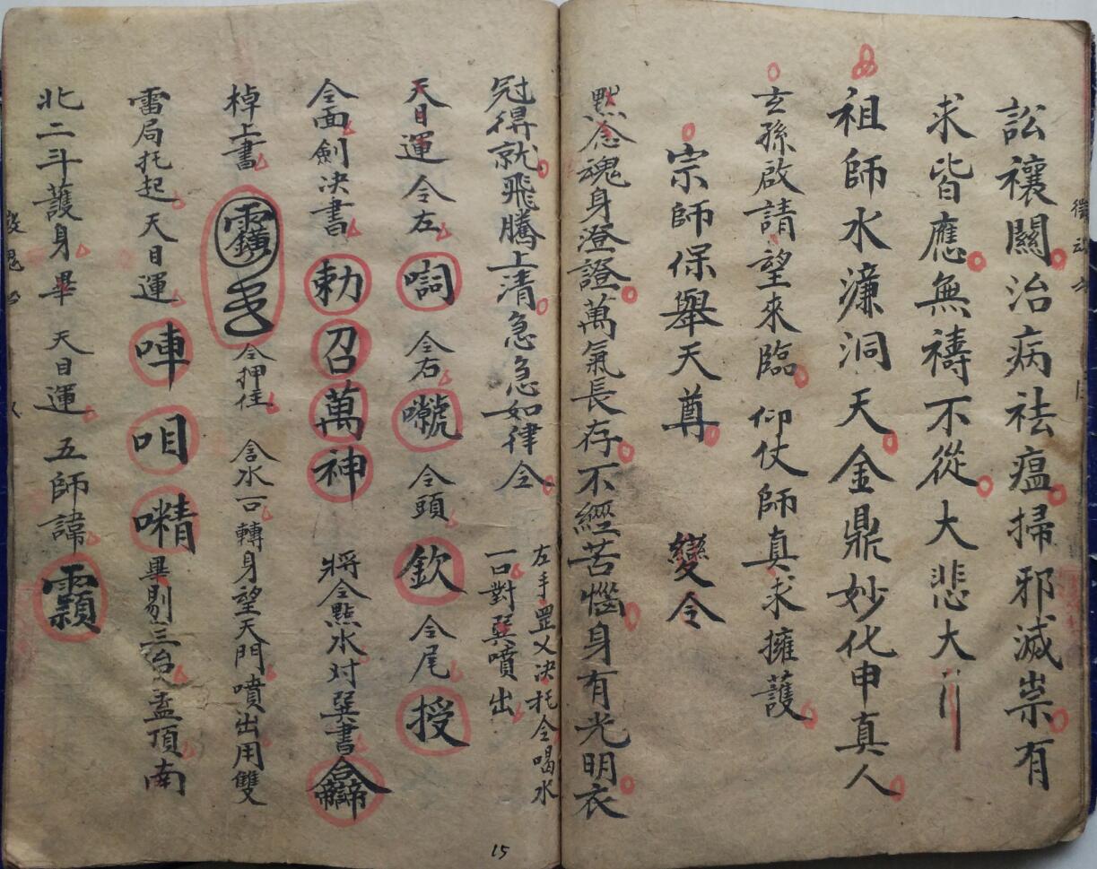 《先天徵魂保病科》插图6 《先天徵魂保病科》插图6