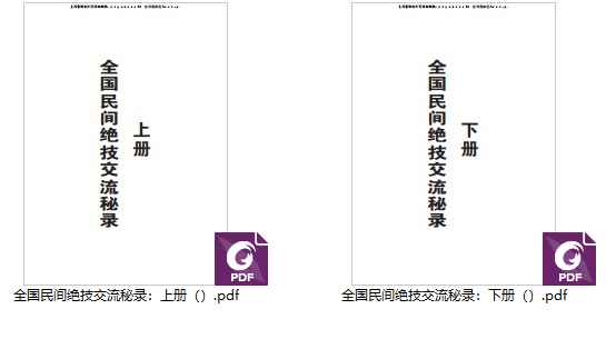 2510108 全国民间绝技交流秘录插图