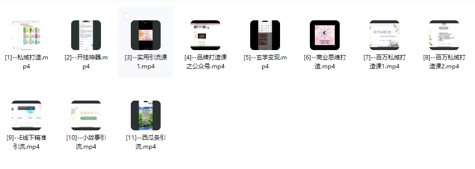 2510128秘灵空间sara玄学变现课程11集视频Y插图