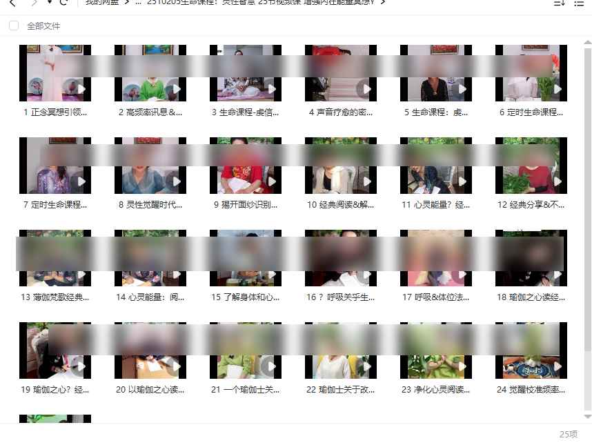 2510205生命课程：灵性智慧 25节视频课 增强内在能量冥想Y