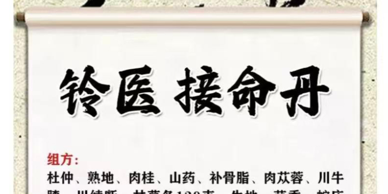 2510243铃医接命丹