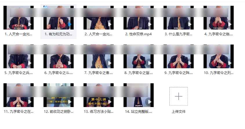 251117梁老师天人合一大金光法及九字密令16集插图