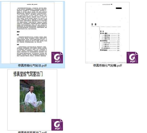 251156修真炼精化气《筑基法门》《化气秘籍》《化气秘法》3本