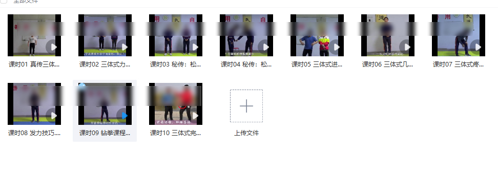 251214庞超真传形意拳颠覆三体式力学机构与实战应用_10课时
