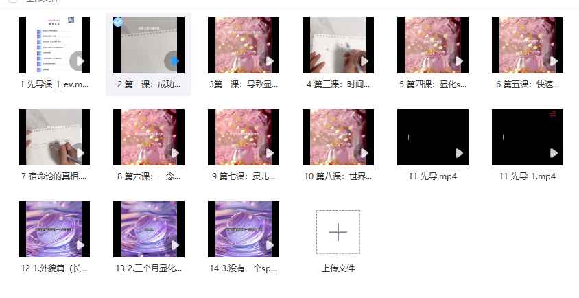 2512121 让显化改写命运(显化长高、美貌、金钱、爱情) 显化改变过去未来 14 集视频Y