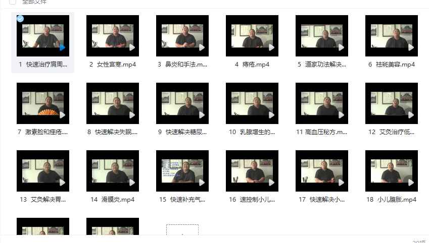 2512153 敏真20个道医绝招一套