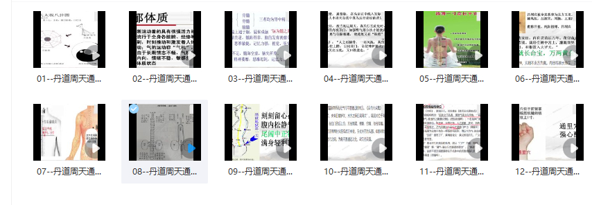 2512168 王哲 丹道周天通关术12集