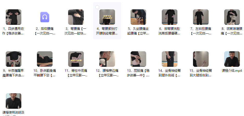 2512253 腰椎自疗自愈 一站式解决17集视频