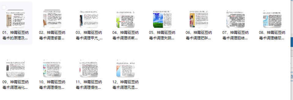 2512263 张东方张道长 神霄驱豆纳毒术12集