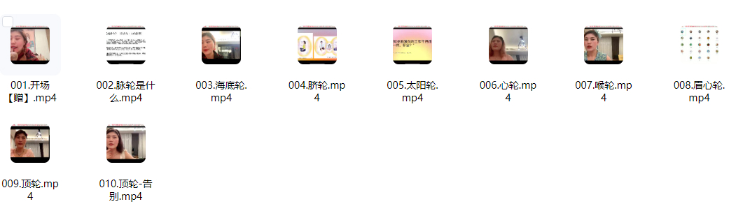 2512295 七脉轮 深度讲解直觉超强的骆驼10集