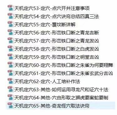 东灵易占《天机阴阳定穴法视频讲解教学》视频65集 